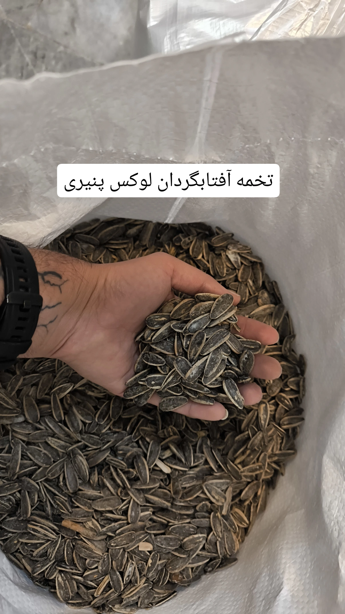 خرید تخمه آفتابگردان لوکس (۲کیلوگرمی)