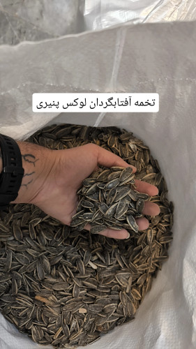 خرید تخمه آفتابگردان لوکس (۲کیلوگرمی)